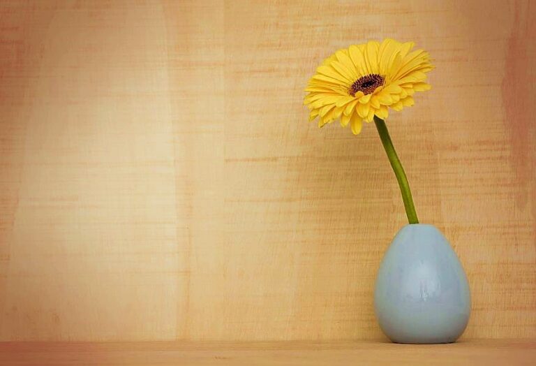 Thumbnail for Egunez egun 22-03-2026